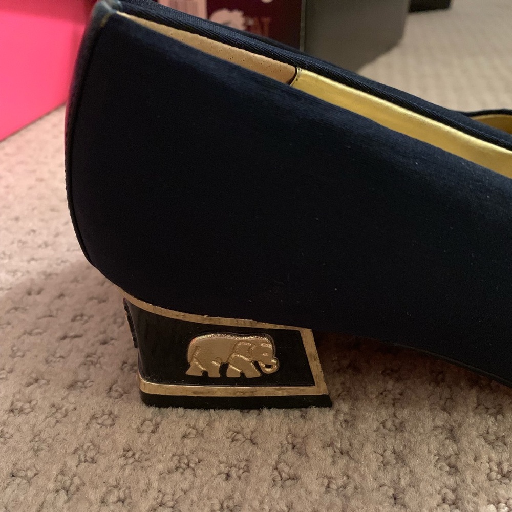 Coup Detat Shoe with adorable Heel